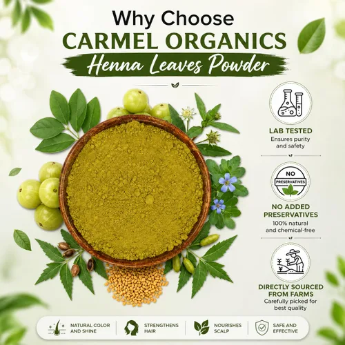 Miniatura 5 de CARMEL ORGANICS Hojas de henna en polvo (8 onzas o 8.01 oz) para el color del cabello Hecho con hojas de henna naturales y puras Sin