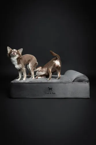 Miniatura 6 de NOAH & PAW Cama para Perro, 28x23x7.5 Pulgadas, Camas Ortopédicas para Perros de Tamaño Mediano, Espuma Viscoelástica Tipo Cáscara Infundida con Gel