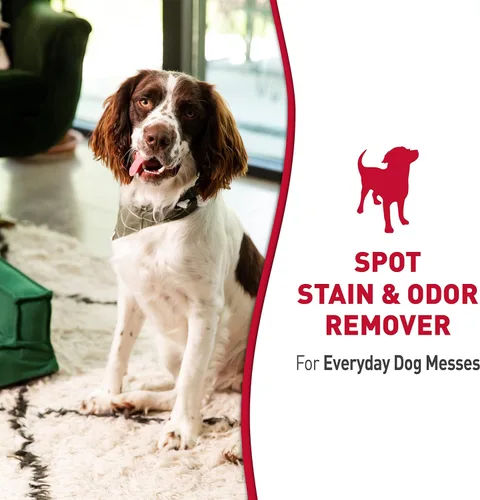 Miniatura 3 de Nature's Miracle Removedor de manchas y olores para perros, fórmula de control de olores, repuesto, 1.33 galones