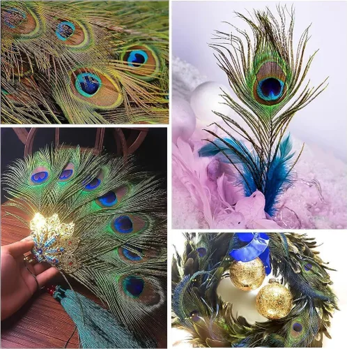 Miniatura 5 de Plumas naturales de pavo real con plumas de cola de pavo real de 10-12 pulgadas (9.8-11.8 in) para bodas, fiestas, artes y manualidades, decoración