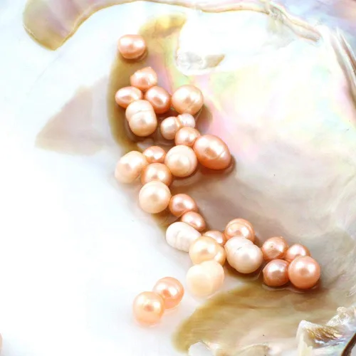 Miniatura 3 de NewEGG Big Oyster Pearl Party - Cuentas ovaladas cultivadas de agua dulce (0.197-0.276 in, 28 unidades/lote), ostras con perla interior para mujeres