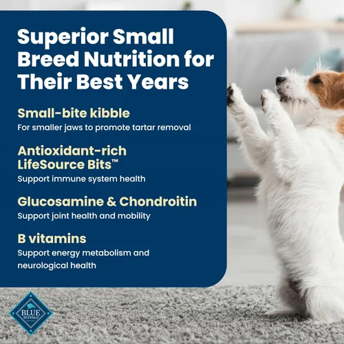 Miniatura 3 de Blue Buffalo Life Protection Formula - Alimento seco para perros mayores de raza pequeña, apoya la salud y la inmunidad de las articulaciones, hecho