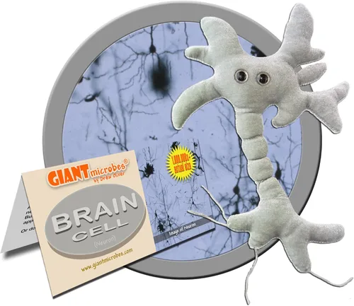 Miniatura 2 de Giant Microbes peluche célula cerebral (neurona)