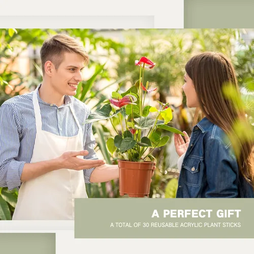 Miniatura 6 de Chunful 30 estacas acrílicas de 15.6 pulgadas para plantas de jardín, estacas de orquídeas transparentes para soporte en maceta, tomates, flores
