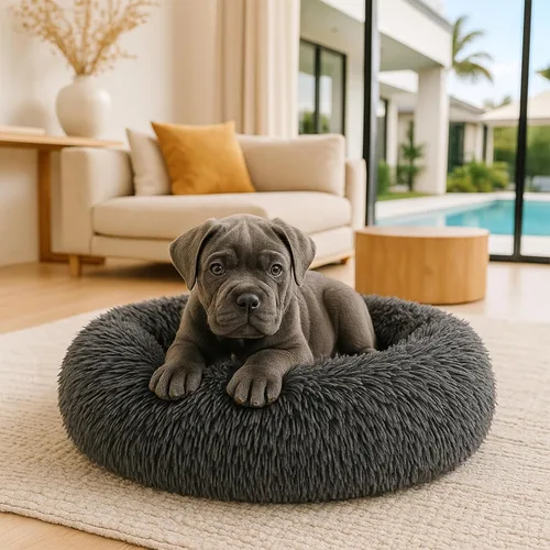 Miniatura 5 de Cama Relajante para Perros - Cama Dona Esponjosa para Alivio de la Ansiedad, Cama Ortopédica para Mascotas con Fondo Antideslizante, Nido Redondo