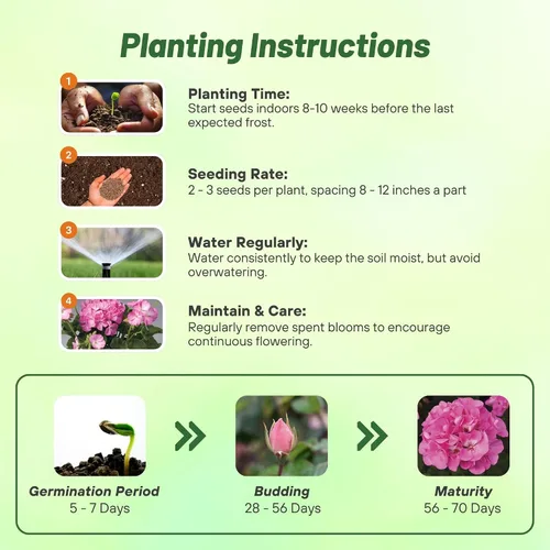 Miniatura 3 de Outsidepride Semillas de geranio bicolor rosa para plantar, 25 piezas anuales, tolerantes al calor y la sequía semillas de flores con follaje verde