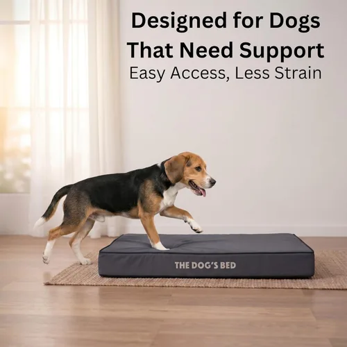 Miniatura 4 de The Dog's Bed - Cama ortopédica para perro, gris medio con ribete negro, impermeable, cama de apoyo con fundas reemplazables lavables, aprobada por