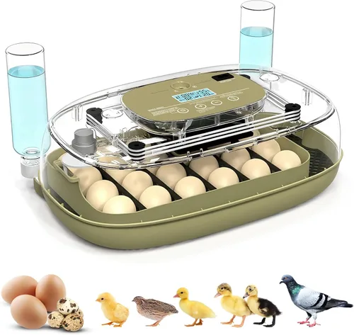 Miniatura 8 de Incubadora de 12 huevos con pantalla de humedad y vela integrada, girador automático, control de temperatura y humedad, recarga automática de agua