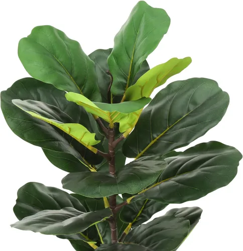 Miniatura 5 de Monarch Specialties I 9505 Planta artificial, 28 pulgadas de alto, árbol de violín, interior, falso, falso, suelo, vegetación, maceta, tacto real