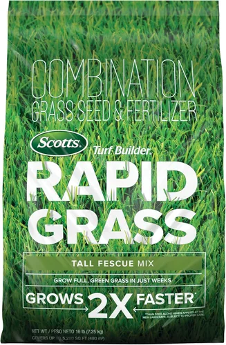 Miniatura 14 de Scotts Turf Builder Rapid Grass - Mezcla de festuca alta, combinación de semillas de césped y fertilizante, cultiva césped verde en solo semanas