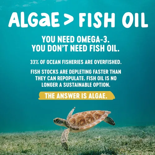 Miniatura 5 de Freshfield Omega 3, Suplementos de DHA, Fórmula potente 1 por día, Aceite de algas (algas), Omega vegano, aceite de pescado para ahorro de océano
