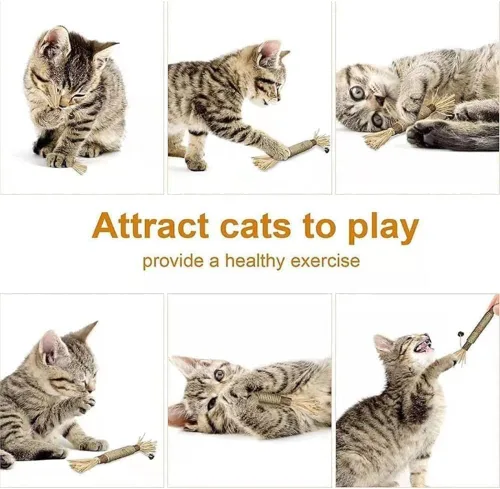 Miniatura 4 de Natural Silvervine Dental Sticks - Catnip Chew Toy, Interactive Teeth Cleaning Toy for Indoor Cats, Scratch Resistant, Boost Appetite & Relieve