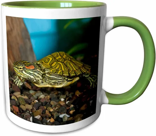 Miniatura 11 de 3dRose NA02 DNO0772 - David Northcott - Tazas (mug_84061_9)
