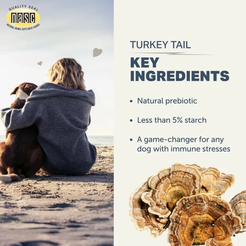 Miniatura 4 de Hongo de cola de pavo para perros, extracto de hongo orgánico entero, más del 50% de beta-glucano, probado por terceros, fabricado en los Estados