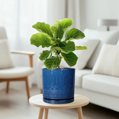 Miniatura 2 de Maceta de Cerámica Eightpot - Maceta de 20 cm para Interior con Agujeros de Drenaje y Platillo, Maceta Redonda para Exterior, Maceta Moderna de Azul