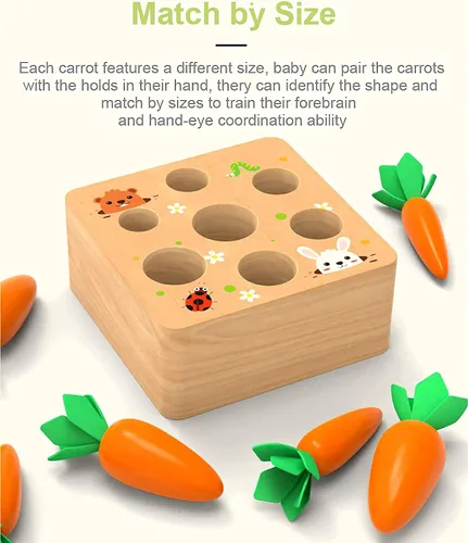 Miniatura 3 de Juguetes Montessori para niños de 1 año, juego de clasificación de tamaño en forma de zanahoria, juguetes de madera para bebés de 6 a 12 meses