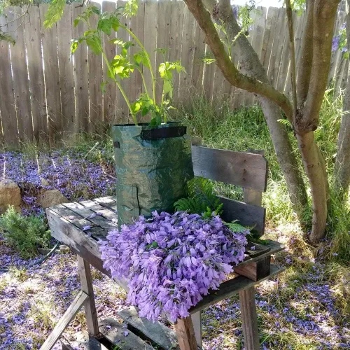 Miniatura 7 de JJGoo Paquete de 2 bolsas de cultivo de patatas de jardín de 10 galones con solapa y asas de aireación, macetas de tela de aireación, macetas