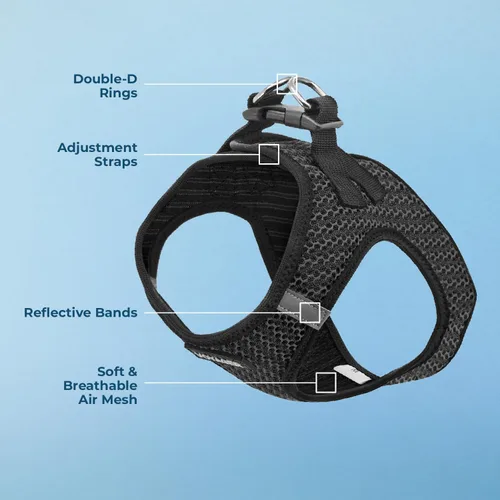 Miniatura 4 de Best Pet Supplies - Arnés de malla para todo tipo de clima, reflectante, antitirones, para perro y gato pequeño y mediano, con cierre de velcro
