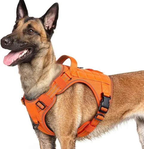 Miniatura 50 de rabbitgoo - Arnés para perros pequeño sin tirones, chaleco táctico de servicio con Molle y asa de control, arnés militar ajustable y reflectante