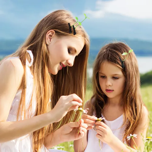 Miniatura 3 de Housoutil 50 horquillas para el cabello con brotes de frijoles, brotes de plantas verdes para decoración de fiestas, accesorios de fotografía