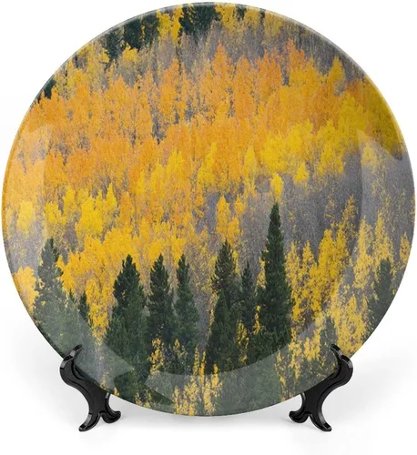 Miniatura 17 de XISUNYA Plato decorativo de 8 pulgadas, plato de vajilla de otoño, coloridas hojas de arce otoñales de noviembre, placa de exhibición de cerámica