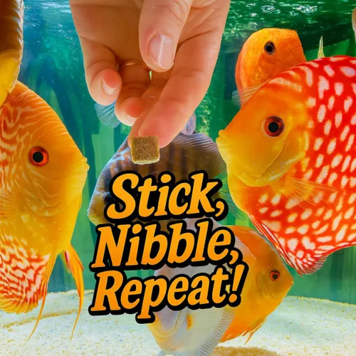 Miniatura 6 de Super Cichlids Gusanos negros de California liofilizados, totalmente naturales, perfectos para acuarios marinos y tropicales, alto contenido