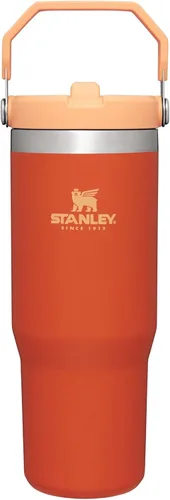 Miniatura 46 de Stanley IceFlow - Vaso con pajilla abatible con asa, de 20 onzas, tapa giratoria y popote abatible, botella de agua resistente a fugas, acero