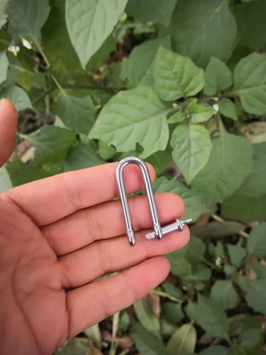 Miniatura 6 de JY-Marine - Abrazadera de carga de grillete largo en D de acero inoxidable para cadenas, cuerda de paracaídas de levantamiento de cuerda