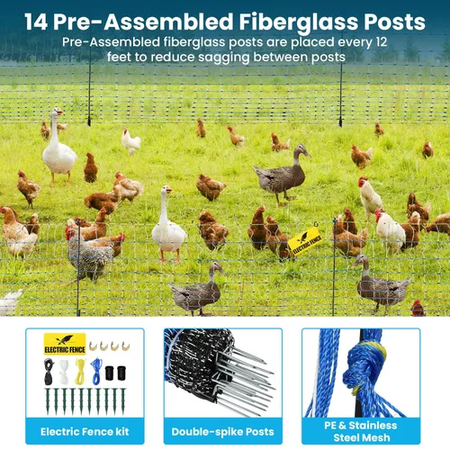 Miniatura 3 de Red eléctrica para aves de corral, 47.2 pulgadas de alto x 164 pies de largo, valla de pollo portátil con postes de fibra de vidrio de doble punta