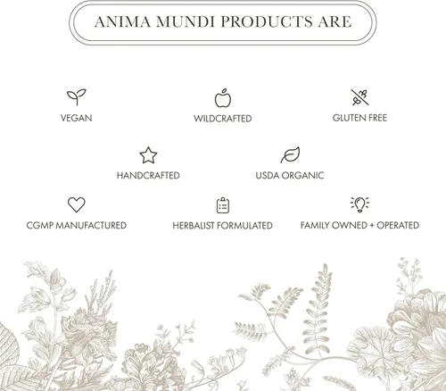 Miniatura 6 de Anima Mundi Apothecary Suplemento orgánico de hongos – hongos adaptogénicos + cacao – Polvo estimulante con melena de león orgánica, shiitake, chaga