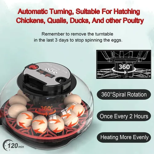 Miniatura 7 de Incubadora de huevos 12-24 con giro automático de huevos y control de humedad, recarga de agua, vela de huevos, incubadoras para incubar pollo