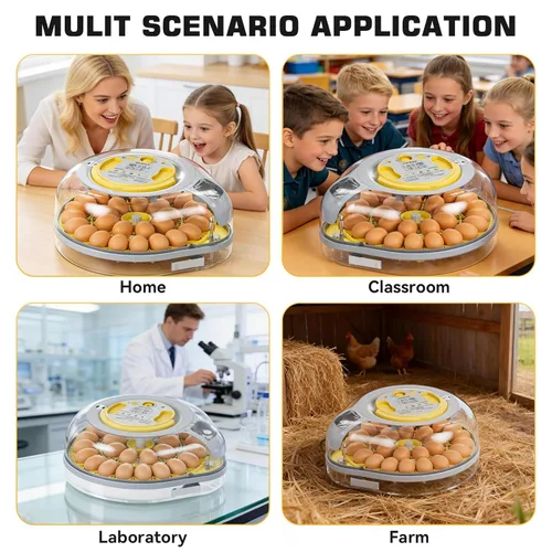 Miniatura 8 de IBKINXX Incubadora de 26 huevos para incubar huevos con guía de voz inteligente, vista de 360° con control automático de temperatura y humedad, giro