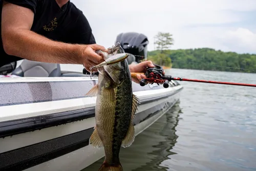 Miniatura 9 de Berkley - Señuelo de pesca Choppo para superficie del agua, de 4.72 in, hélice mejorada para máxima perturbación de la superficie, equipado