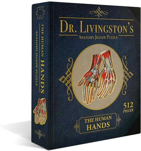 Miniatura 3 de Rompecabezas de anatomía de manos humanas del Dr. Livingston, un rompecabezas de manos médicamente preciso, juguete educativo y atractivo sobre