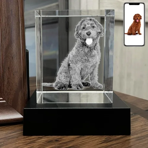 Miniatura 13 de Foto de cristal 3D personalizada, regalos conmemorativos para perros y gatos personalizados para dueños de mascotas. Caja de regalo incluida, foto
