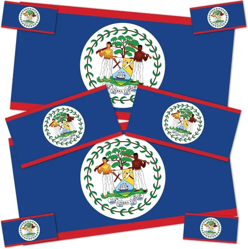 Desert Cactus Calcomanía de bandera de país de Belice, paquete de 8 unidades en total con logotipo de niños, álbum de recortes, automóvil, ventana,