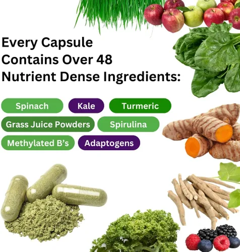 Miniatura 2 de Paradise Herbs Earth's Blend Once Daily Multivitamínico con hierro, 48 superalimentos orgánicos, probióticos, antioxidantes, vitaminas A, B12, C, D