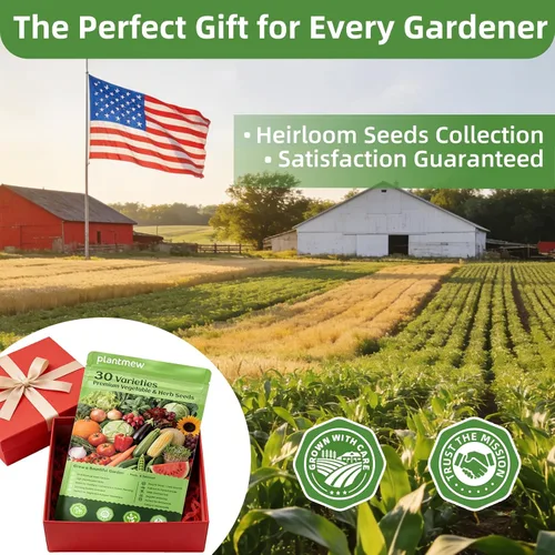 Miniatura 7 de 【Bóveda de semillas】 Kit de siembra de semillas de verduras reliquia - Más de 15,000 semillas sin OMG para hidropónico, jardinería