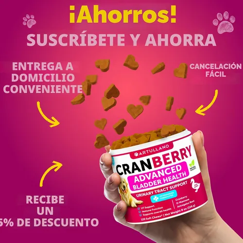 Miniatura 7 de Dog UT Treats - Bocadillos masticables de arándano para perros - Suplemento de apoyo para el tracto urinario y la vejiga con extracto natural