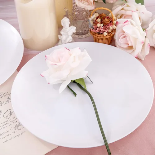 Miniatura 5 de Hioasis 100 piezas Platos de plástico blancos - Platos de cena desechables blancos de 10.25 pulgadas, Platos de cena de plástico, elegantes
