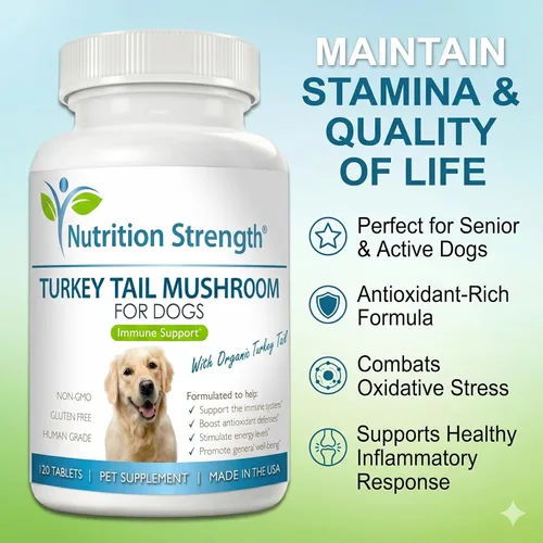Miniatura 6 de Hongo orgánico de cola de pavo para perros, 500 mg de apoyo inmunológico de alta potencia, promueve la salud celular, la actividad antioxidante