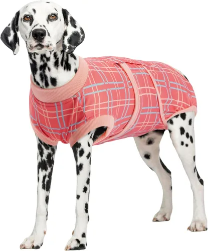 Miniatura 15 de Kuoser Traje de cirugía para perro, cómodo traje de recuperación para perros hembras para cirugía, mameluco protector posoperatorio, alternativa