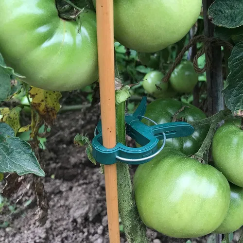 Miniatura 5 de Sago Brothers 40 clips de jardín para jaulas de tomate, clips de soporte de plantas para estacas de bambú, plantas trepadoras, enredaderas, clips