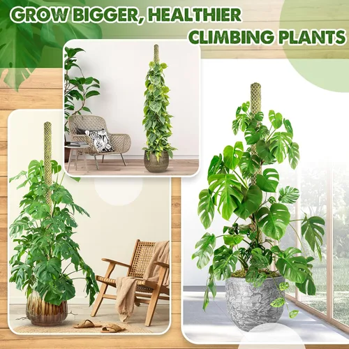 Miniatura 2 de DUSPRO Poste de musgo en malla apilable para plantas de Monstera, estacas de malla para plantas en maceta para plantas de interior, poste de planta