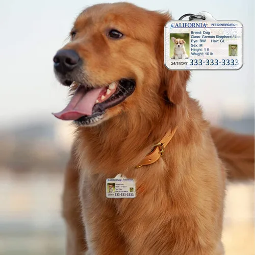 Miniatura 5 de Etiquetas de perro personalizadas para mascotas Personalizadas para mascotas Etiquetas de perro de silicona Etiqueta de perro especial Etiqueta