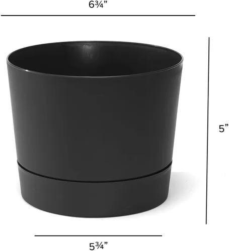 Miniatura 5 de Root & Vessel Majestic Mid-Century Modern - Maceta cilíndrica de perfil bajo, color negro mate, 6.5 pulgadas