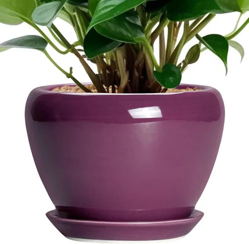 Miniatura 73 de Maceta de Cerámica Moderna con Esmalte para Suculentas con Agujero de Drenaje y Platillo, Maceta Redonda de 6 Pulgadas para Plantas de Flores