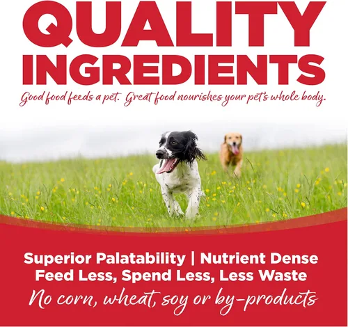 Miniatura 3 de NutriSource Alimento seco para perros para razas grandes, carne de res y arroz, 26 libras