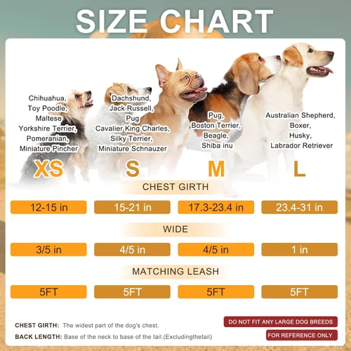 Miniatura 8 de BEAUTYZOO Juego de arnés y correa para perro pequeño sin tirones, arnés de nailon ligero para cuello y pecho ajustable para perros, niñas y niños