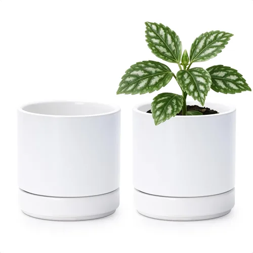 Miniatura 37 de D'vine Dev - Juego de 2 macetas de plantas de 3.5 pulgadas, maceta de cerámica para plantas con agujero de drenaje y platillo, negra, 94-V-A-2